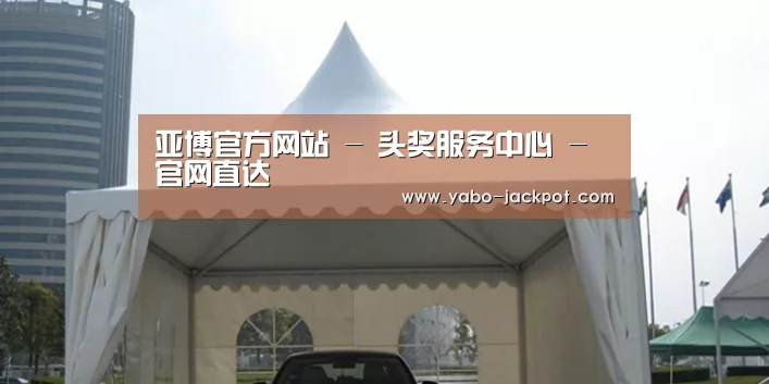 案例标题八